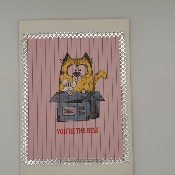 Handmade Cat In A Box Card