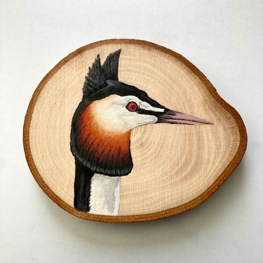 Crested grebe wood slice wall decor or hanging decoration 