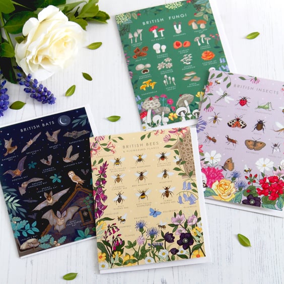 British Nature Guides Set of 4 Note Cards, Bees, Bats, Insects and Fungi