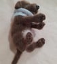 New Born Chocolate Labrador Puppy, dotpebblesknit Design, Knitted Puppy - Image 2