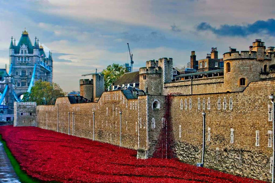 Tower Of London Poppies Red Poppy England Photograph Print