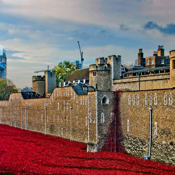 Tower Of London Poppies Red Poppy England Photograph Print