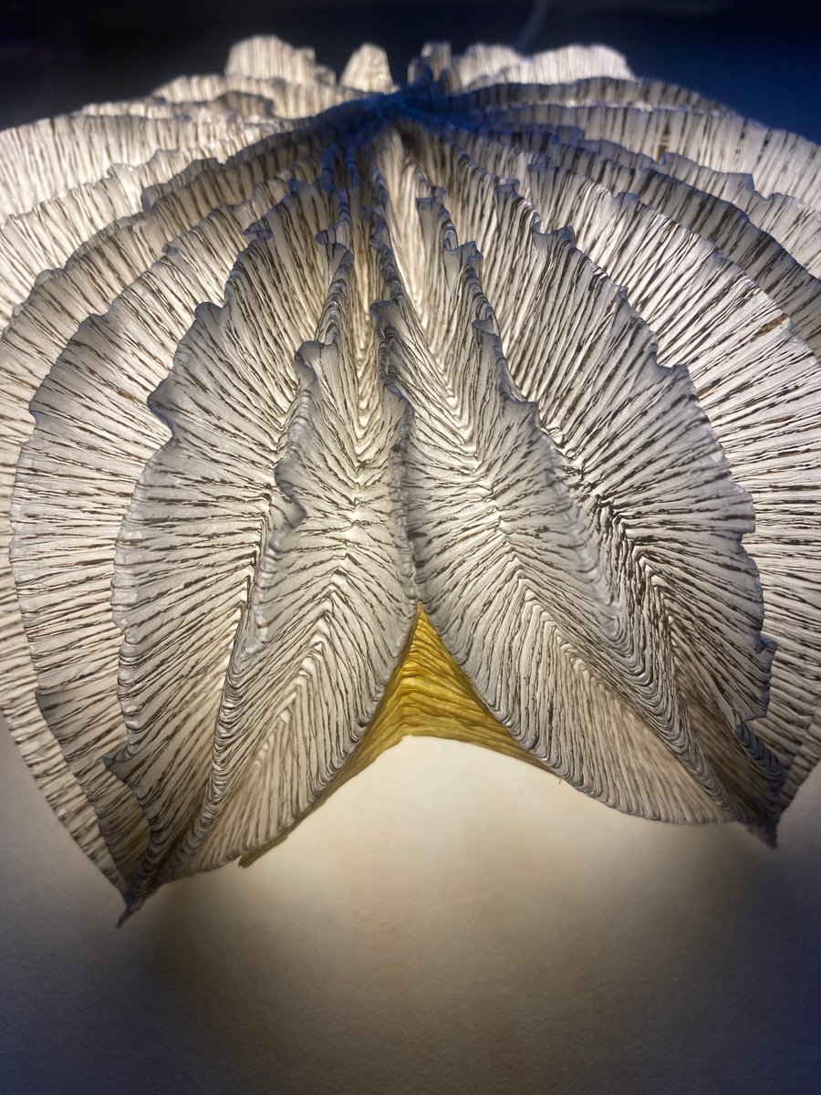 Paper table lamp - pod light