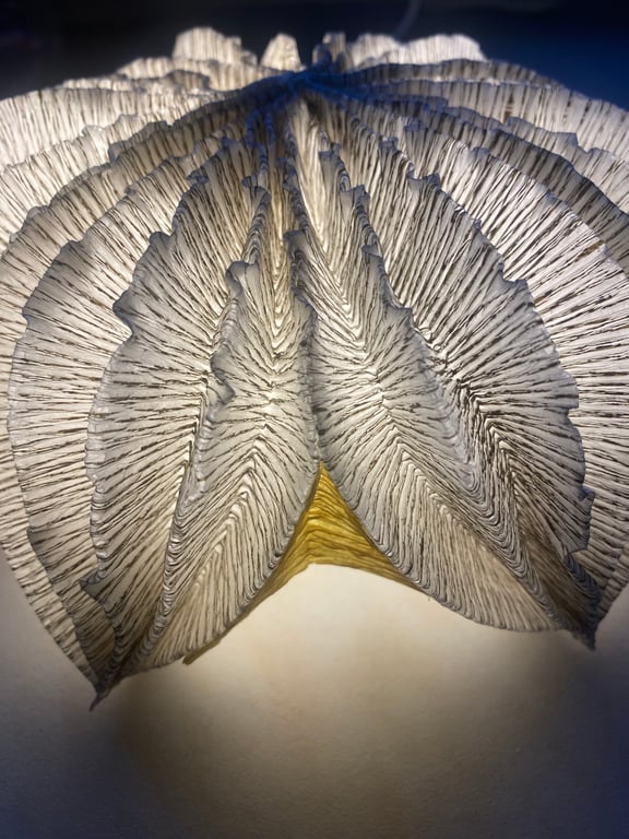 Paper table lamp - pod light