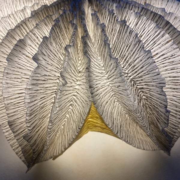 Paper table lamp - pod light