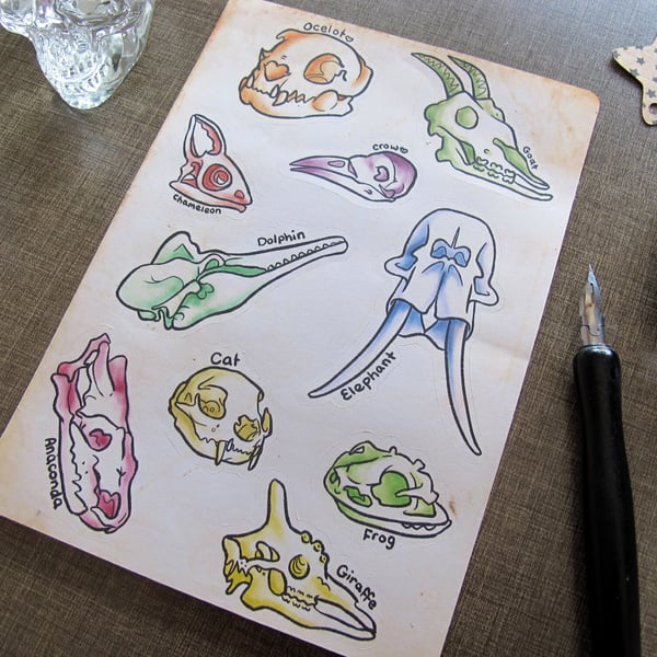 Animal Skull Themed Sticker Sheet