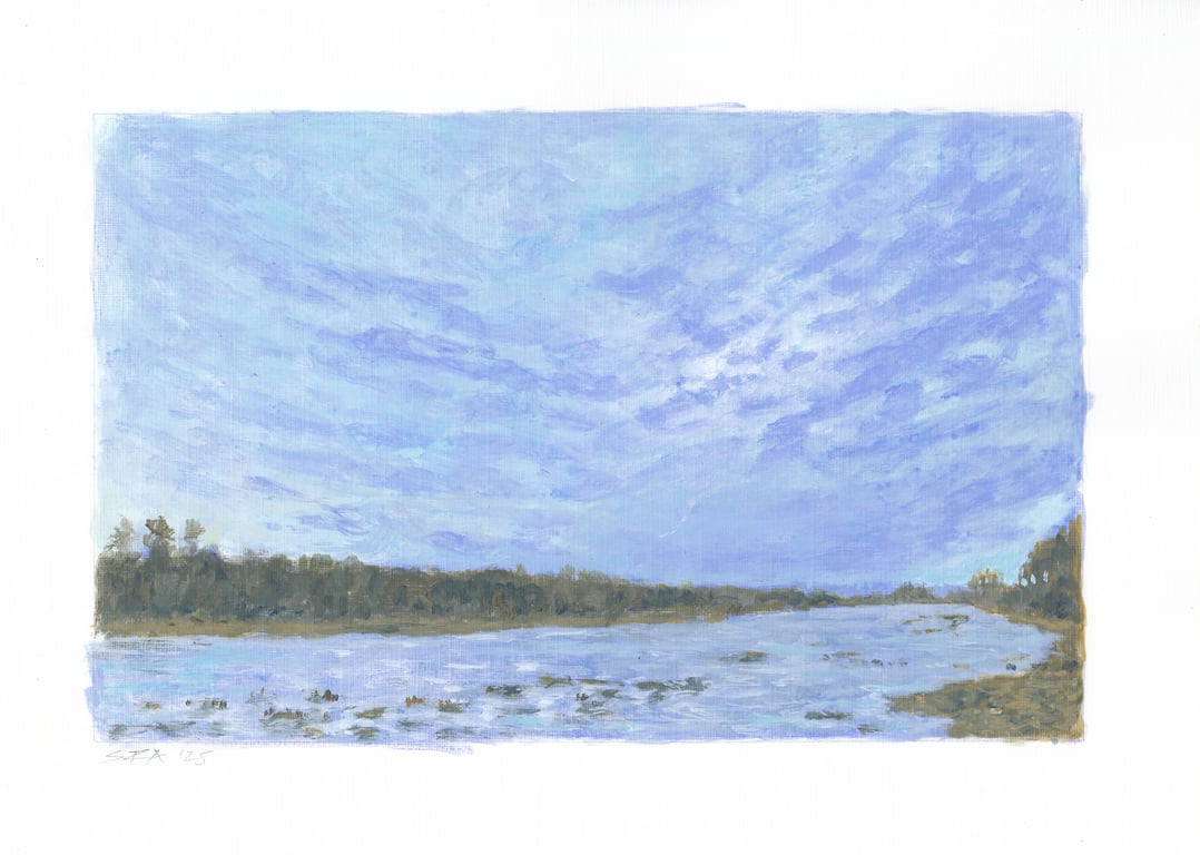 Winter, The Nature Reserve, Fawley Court