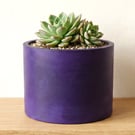 Large 15 cm Round Deep Purple Plant Pot for Houseplants