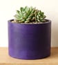 Large 15 cm Round Deep Purple Plant Pot for Houseplants