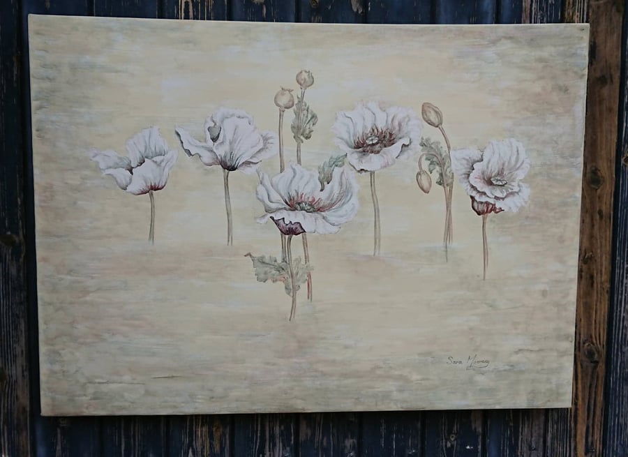 pink and white poppies floating across the misty watercolour canvas.