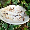 Pistachio Nut Dish