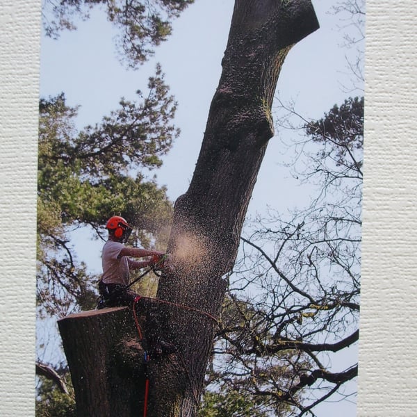 Photographic greetings card of a Tree Surgeon, ( Lumberjack).