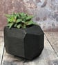 Burnt Wood Decorative Plant Holder - Image 3