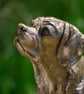 Sitting Puggle Dog Statue Large Bronze Resin Sculpture - Image 4