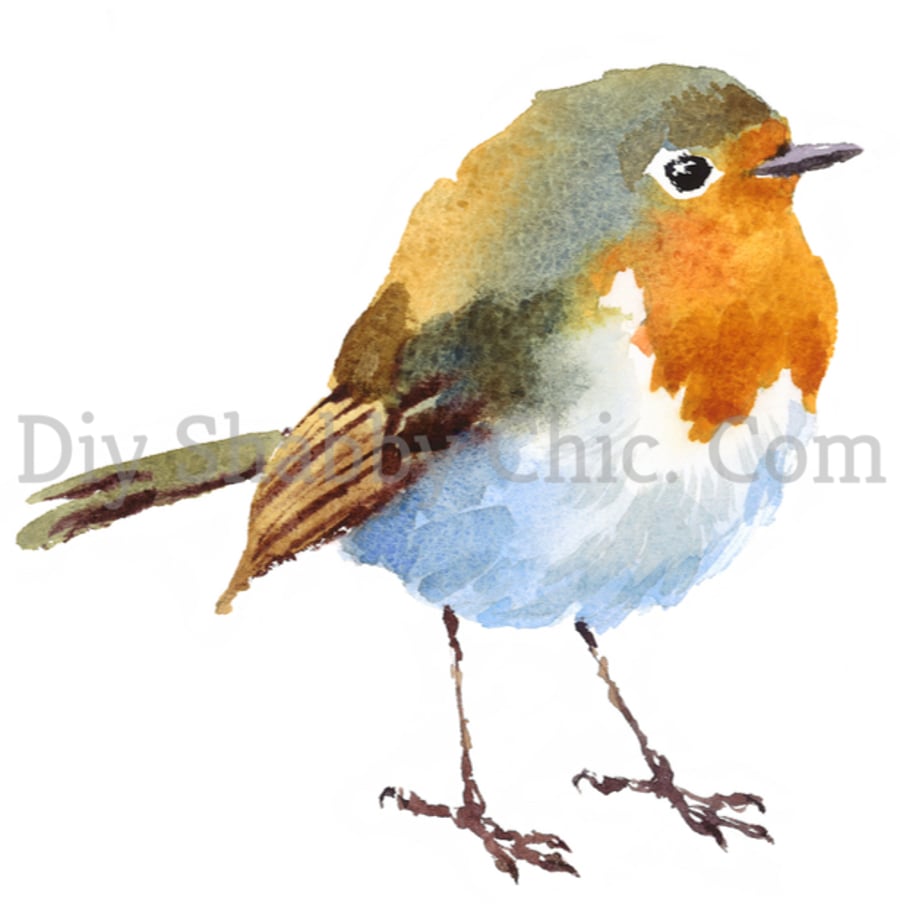 Waterslide Furniture Vintage Image Transfer DIY Shabby Chic Watercolour Robin   