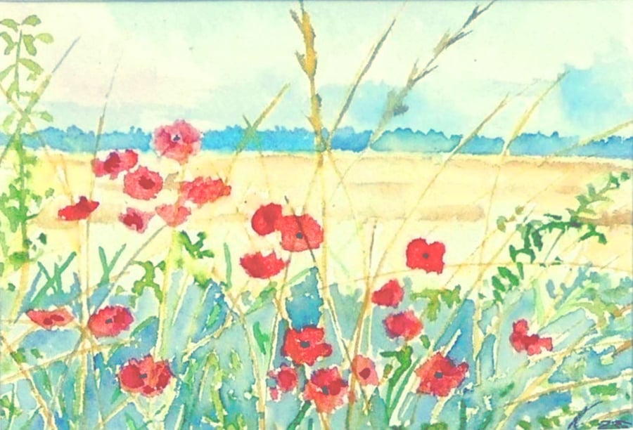 Framed Wold Feld Poppies Original Watercolour Painting