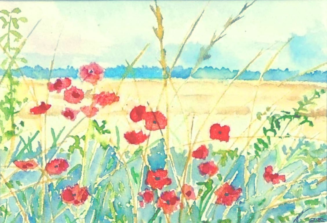 Framed Wold Feld Poppies Original Watercolour Painting