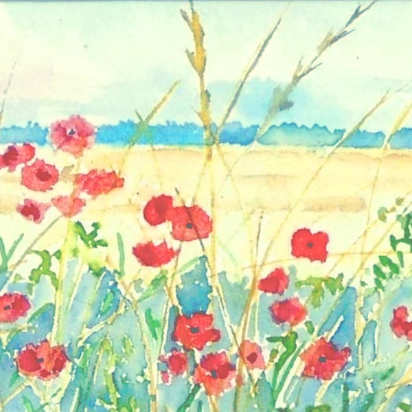 Framed Wold Feld Poppies Original Watercolour Painting