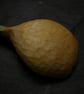 Large Maple Scoop - Image 3