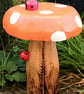 Orange Spotty Toadstool - Image 2