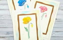 BLANK AND ALL OCCASIONS CARDS