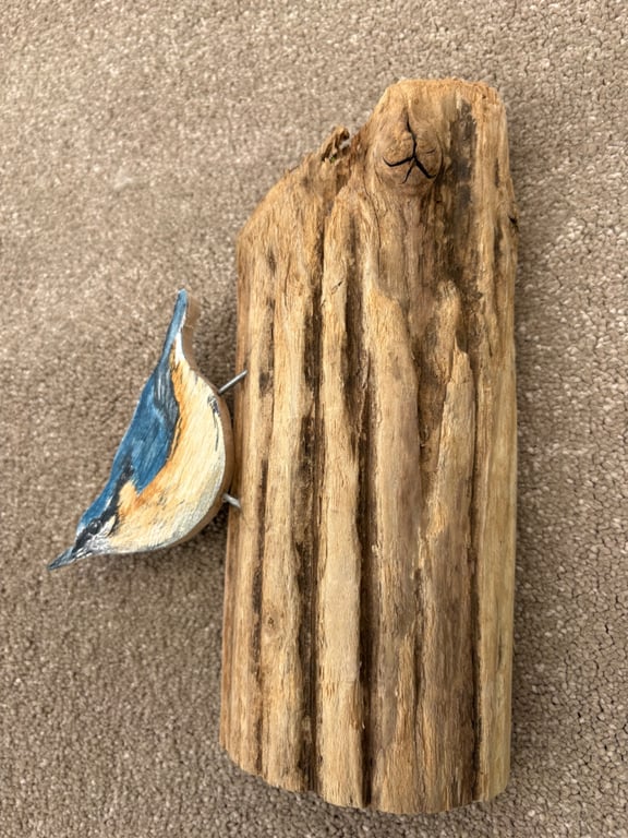 3D Nuthatch hand-painted wall sculpture - Original artwork