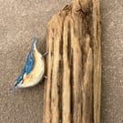 3D Nuthatch hand-painted wall sculpture - Original artwork