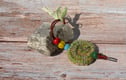 Charms