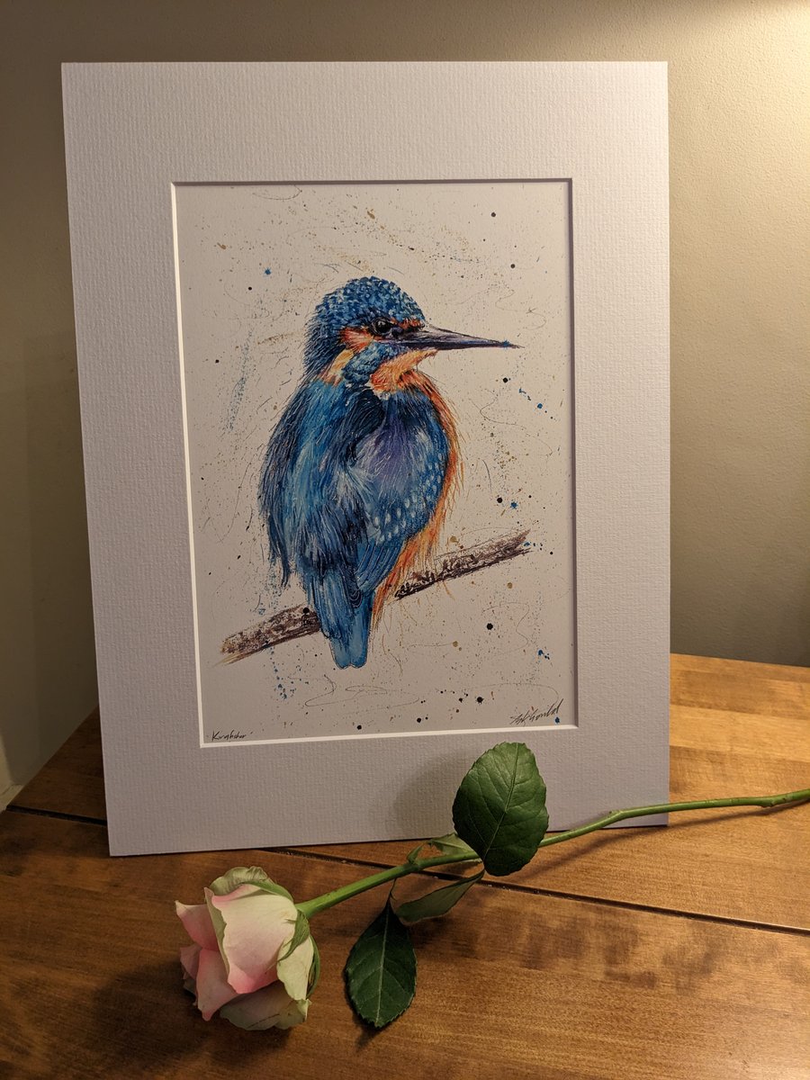 Kingfisher - An A4 print of an original painting