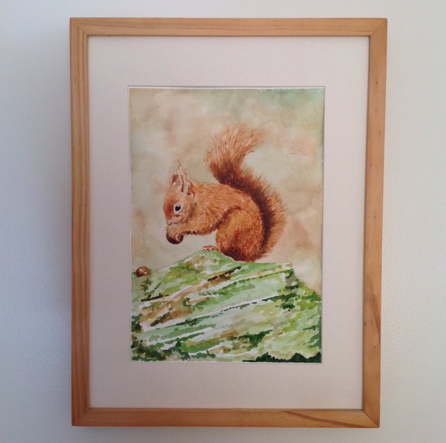 Red squirrel original watercolour painting