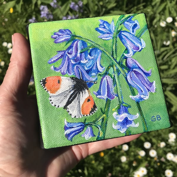 'Orange Tip Butterfly & Bluebells', Original Acrylic Painting, Shelf Sitter 