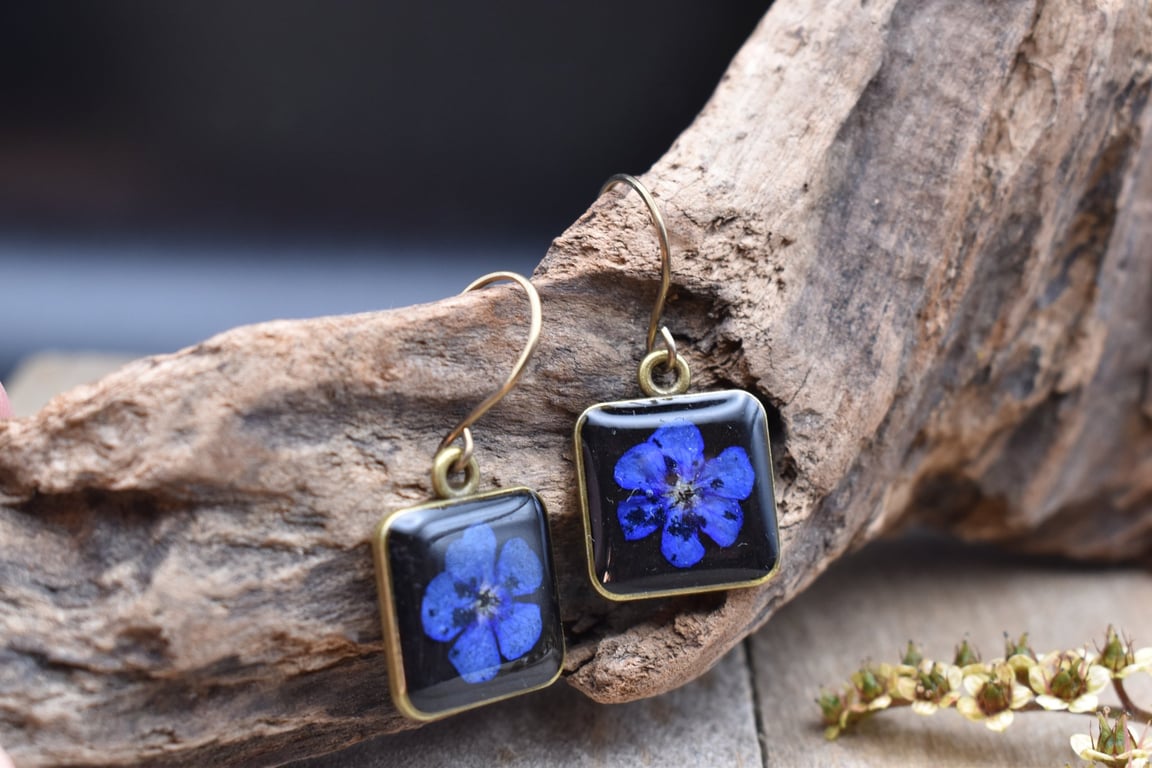 Hypoallergenic Real Pressed Blue Flower Resin Earrings, Titanium Ear Hooks
