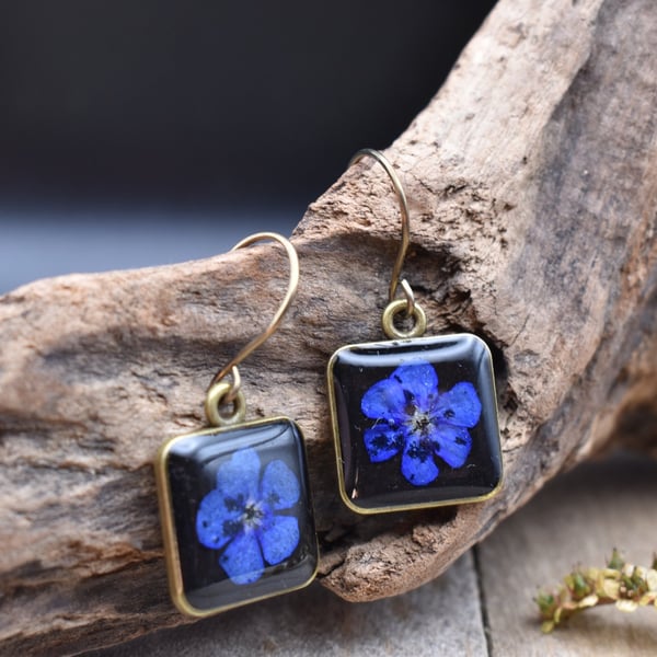 Hypoallergenic Real Pressed Blue Flower Resin Earrings, Titanium Ear Hooks