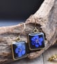 Hypoallergenic Real Pressed Blue Flower Resin Earrings, Titanium Ear Hooks