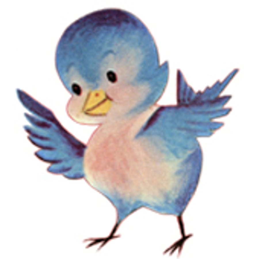 Bluebirdcharms