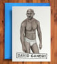 David Gandhi - Funny Birthday Card