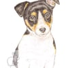 Jack the Jack Russell - Easter Card