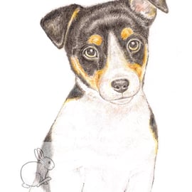 Jack the Jack Russell - Easter Card