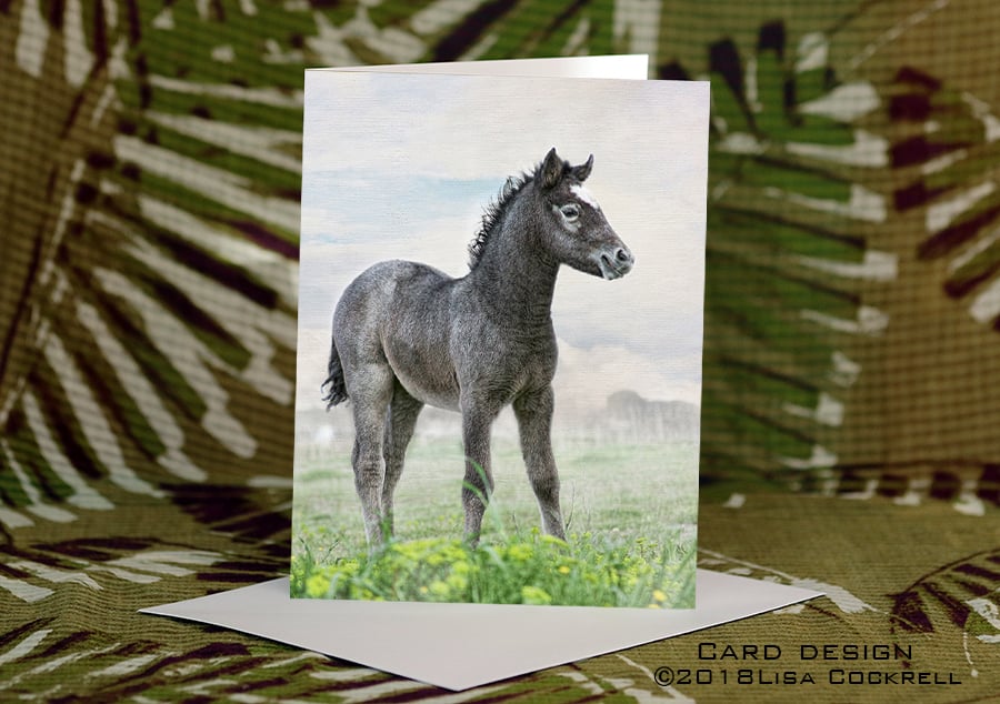 Exclusive Handmade Cute Foal Greetings Card on Archive Photo Paper