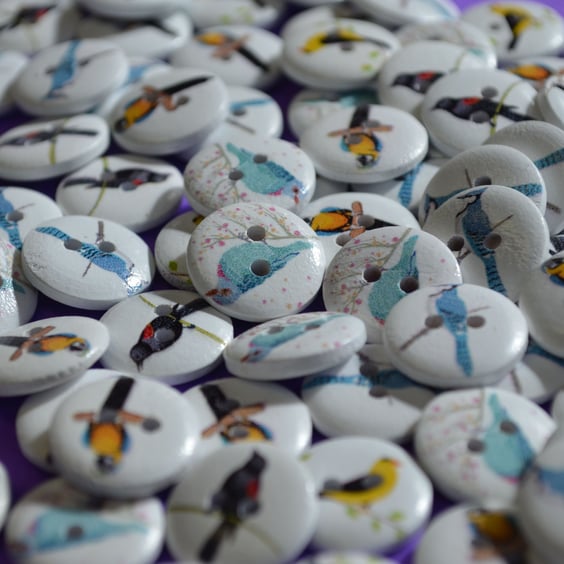 15mm Wooden Bird Buttons Random Mix 10pk Parrot Birdie (SB1)