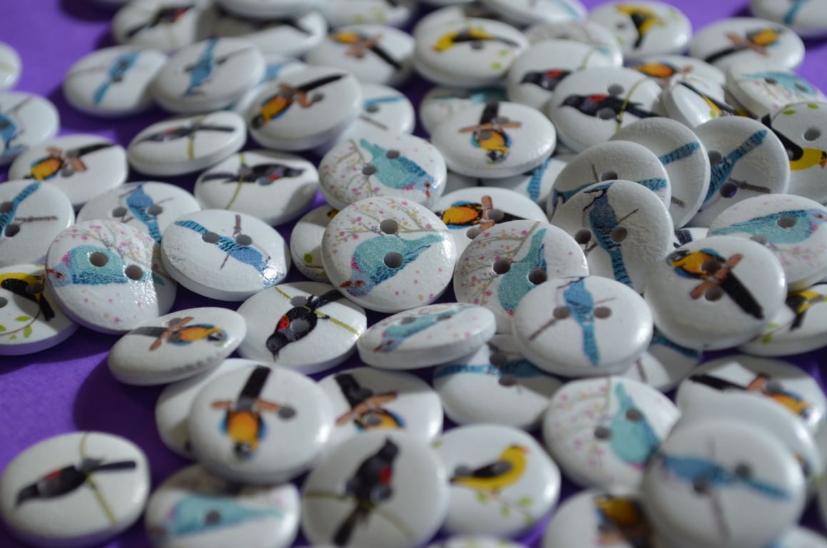 15mm Wooden Bird Buttons Random Mix 10pk Parrot Birdie (SB1)