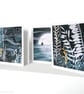 Ocean Collection - Box of 12 Small Cards - Image 6