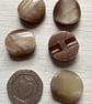 5  buttons with tunnel shank - Image 2