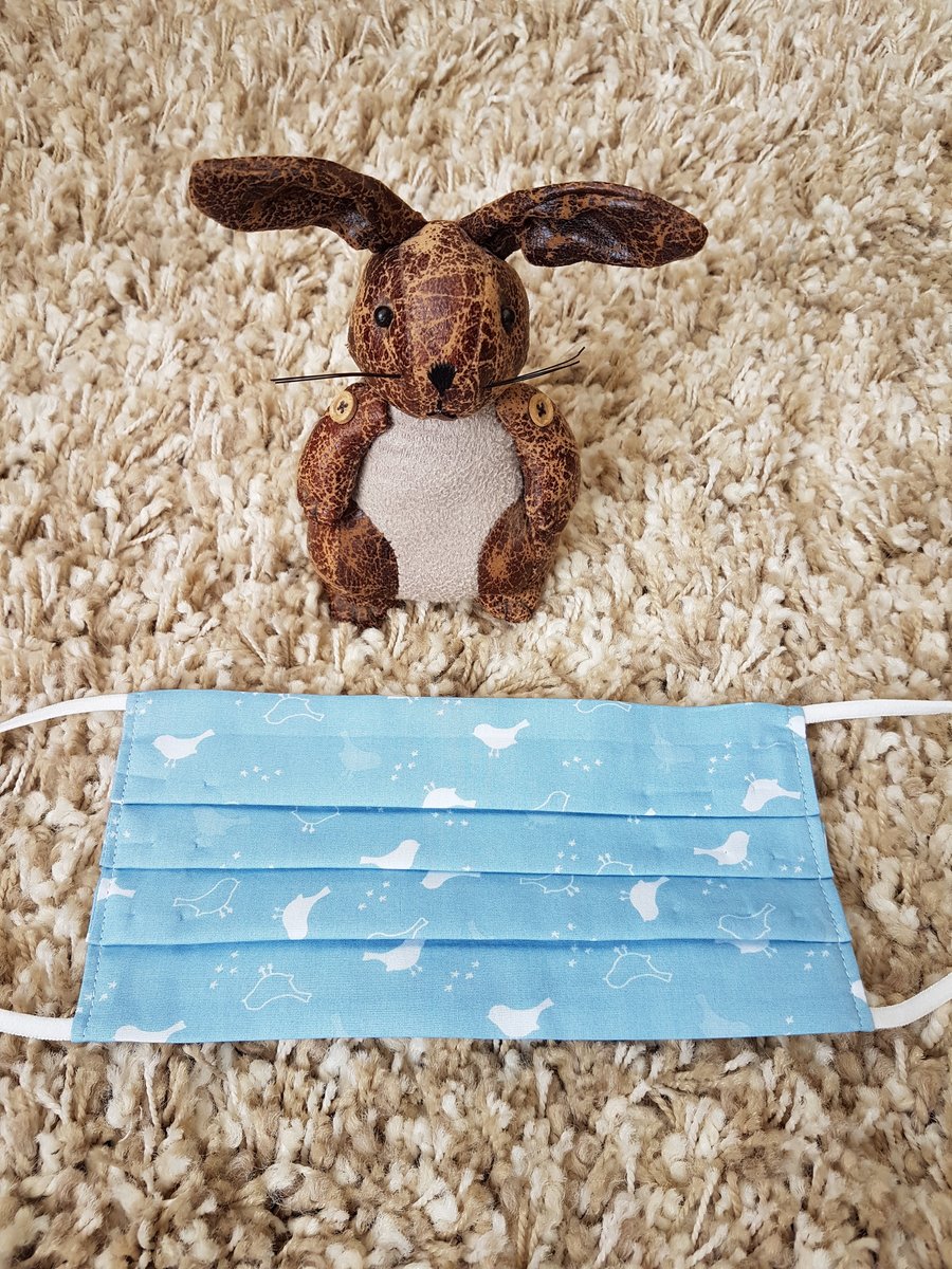 Adult  face covering - Blue Bird print