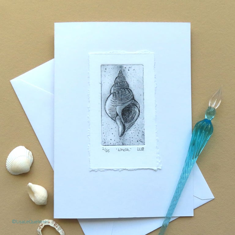 Whelk sea shell original etching blank art card