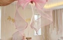 Luxury Organza Bows