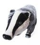 Badger Ceramic Sculpture - Handmade - Image 5