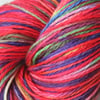 Illuminations - superwash merino sock yarn