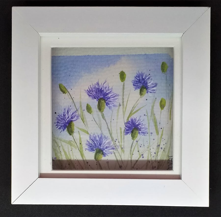 A watercolour painting of bright beautiful cornflowers complete with frame. . .