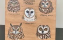 Original paintings